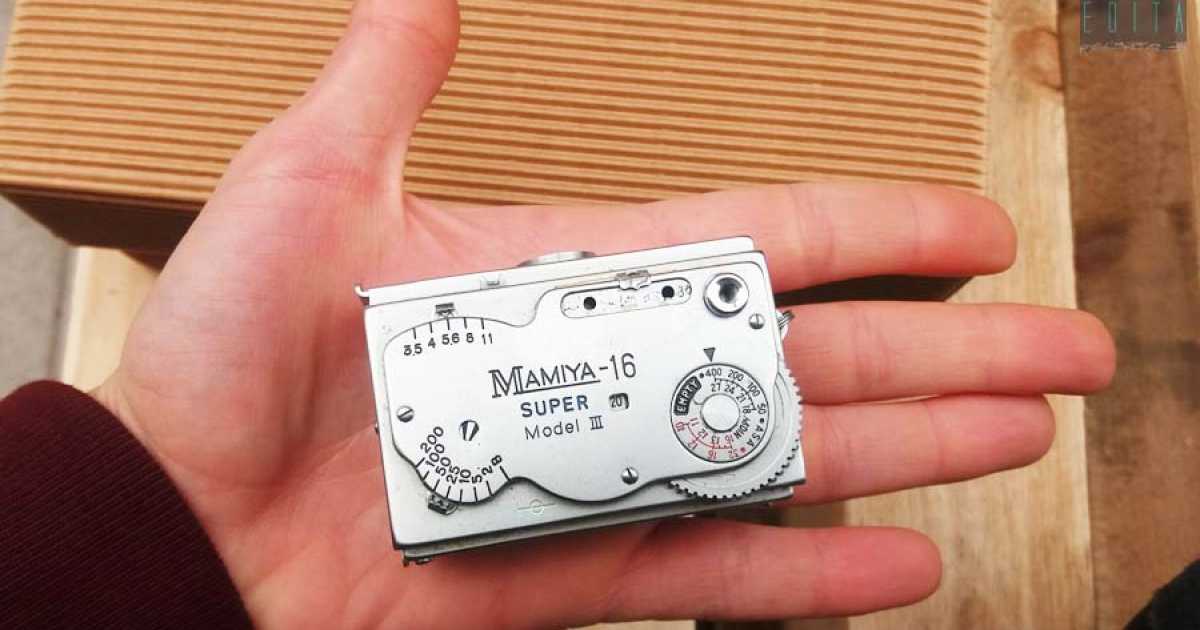 Il mondo delle macchine fotografiche analogiche: �Rare, costose e per intenditori�